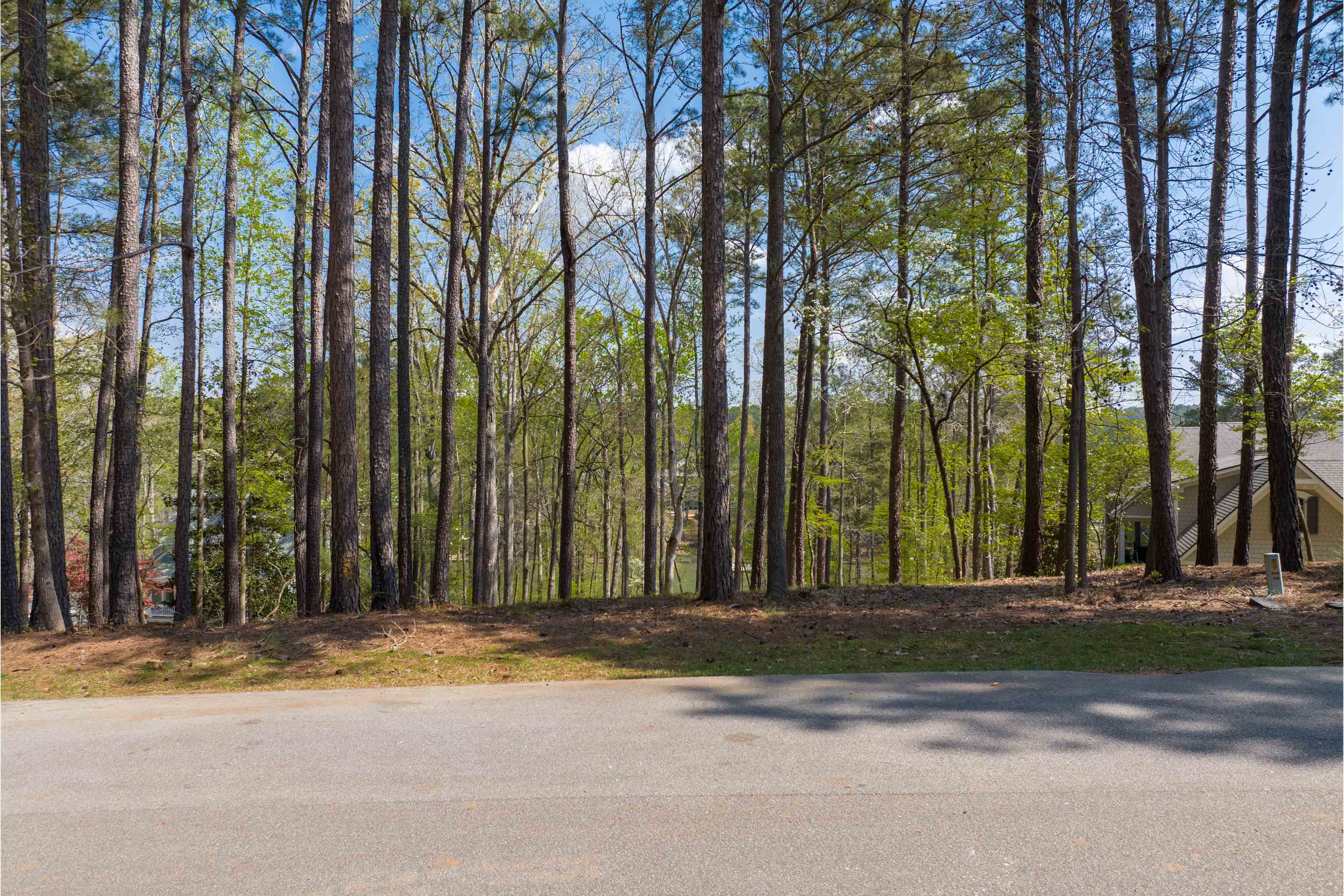 1161 Davison Drive image 3